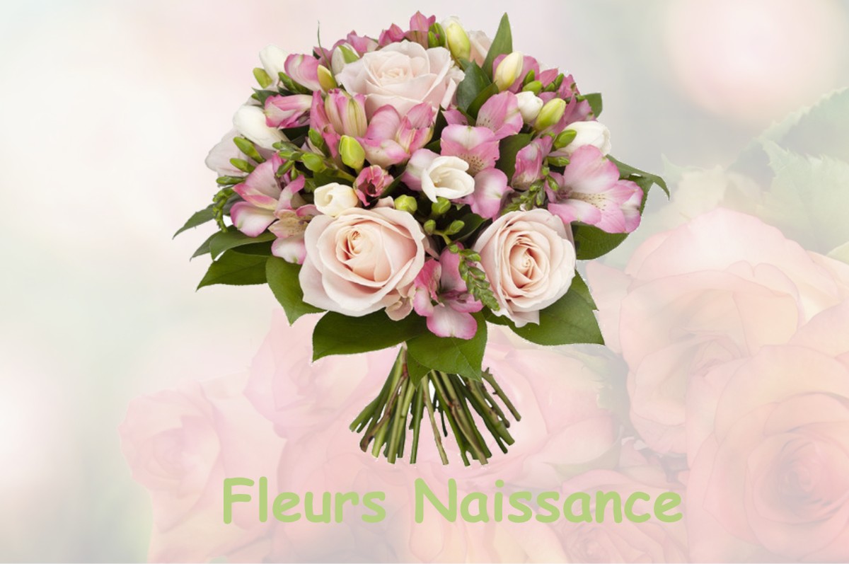 fleurs naissance COULMIERS