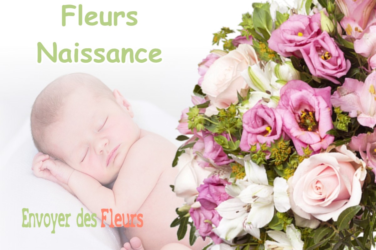 lIVRAISON FLEURS NAISSANCE à COULMIERS